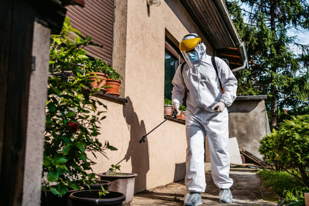 Bird Control in Oviedo, FL