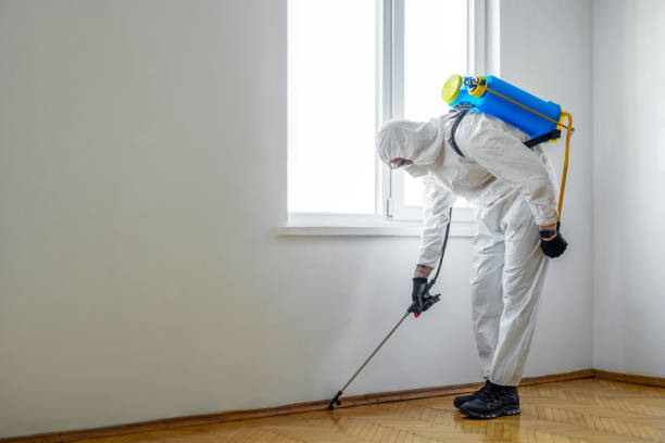 Best Wasp Removal Services  in Oviedo, FL