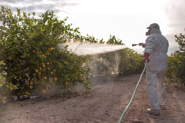 Best Best Pest Control Companies  in Oviedo, FL