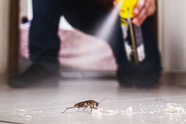 Insect Control in Oviedo, FL