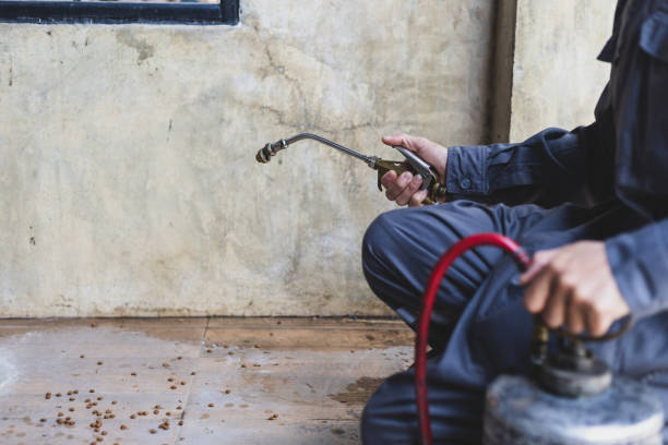 Best Emergency Pest Control  in Oviedo, FL