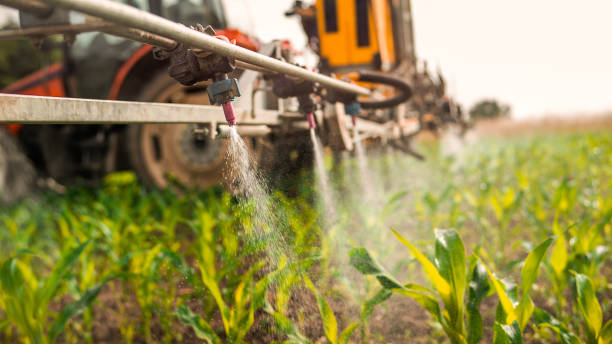 Best Mosquito Control Services  in Oviedo, FL